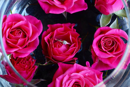 用水和金戒指在玻璃花瓶里玫瑰的红芽