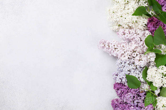 五颜六色的丁香花在石头背景上具有文本空间的顶部视图