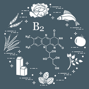 富含维生素 B2 的食物。卷心菜, 鱼, 西红柿, 狗玫瑰, 菠菜, 牛奶, 小麦, 豌豆