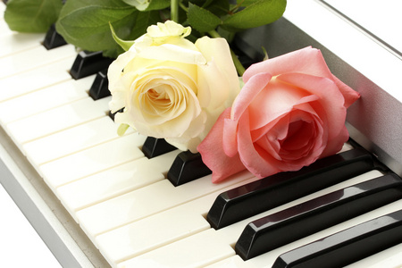 玫瑰与钢琴键盘的背景