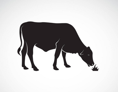 母牛的媒介是吃草在白色背景。家畜。易于编辑的分层矢量插图