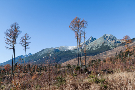 在斯洛伐克，lomnica 峰上塔特拉山