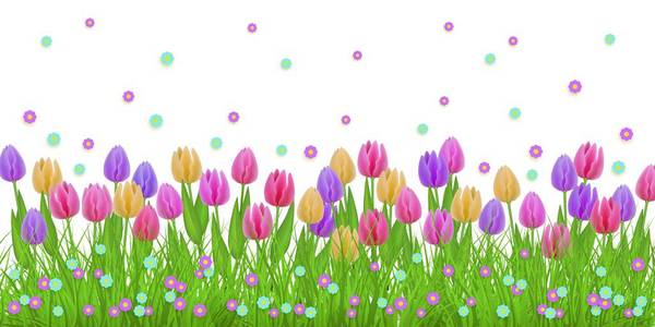 春季花卉边框与五颜六色的郁金香和小绽放在绿色草隔绝在白色背景上