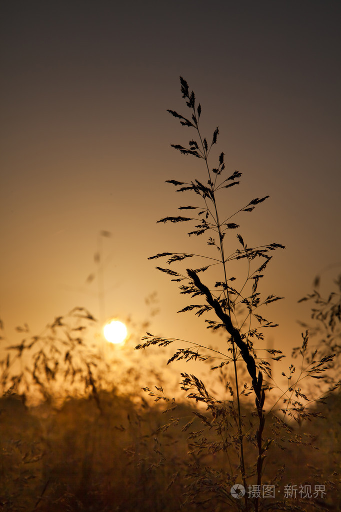 px发票合同问题/光天空阳光春天初太阳升查看作者其他作品查看更多>水