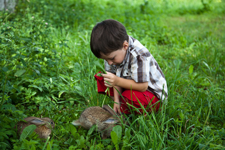 用手喂兔在花园里的男孩