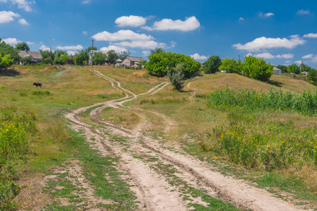 在乌克兰中部的 Bashmachka 村, 乡村道路通向农家路的夏季景观