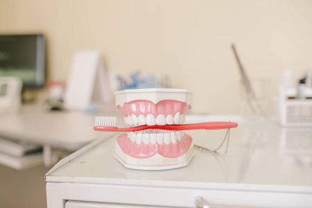 用红色牙刷对牙齿模型义齿的特写照片