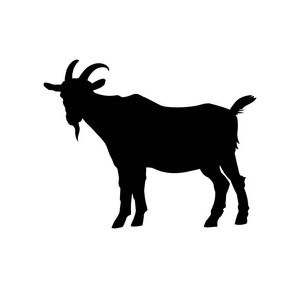 山羊站立黑色剪影侧面看法。在白色背景上隔离的矢量插图