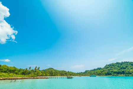 美丽的热带海滩和海与椰子棕榈树在天堂海岛为旅行和假期