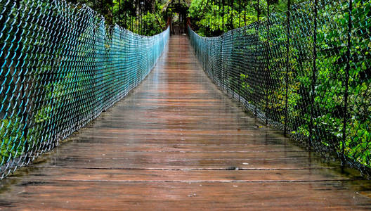 厄瓜多尔鲍诺什的雨林中的木桥