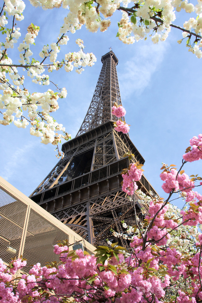 在法国巴黎春天期间埃菲尔铁塔