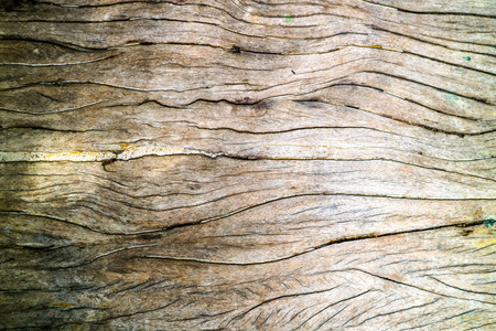 古老硬木表面因温度而开裂