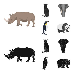 黑犀牛, 豹野猫, 非洲动物大象, 帝国企鹅。野生动物集合图标在卡通, 黑色风格矢量符号股票插画网站