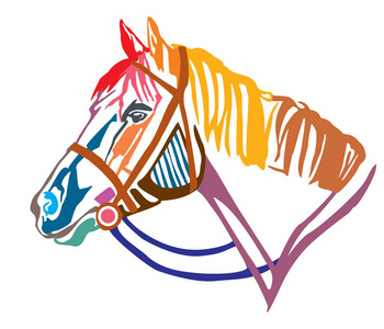 五颜六色的装饰肖像马与缰绳, 矢量插图不同的颜色隔离在白色背景。设计和纹身图像