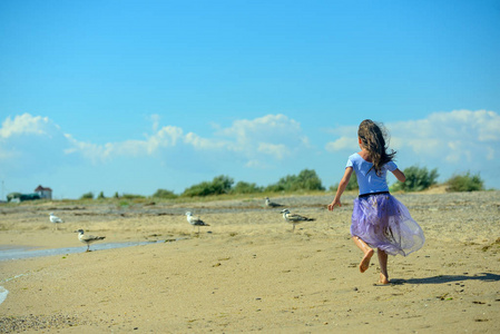 快乐的小女孩在阳光明媚的日子里, 在沙滩上玩耍, 沿着海滩奔跑, 在沙滩上驱散海鸥。图像的水平方向