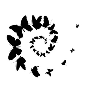 在白色背景矢量插图上以螺旋分离形式飞黑蝶