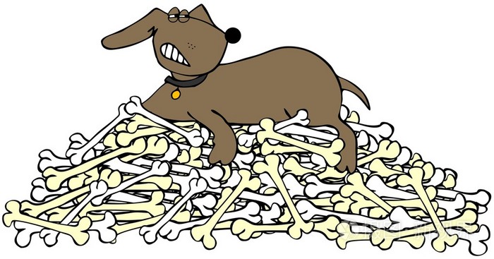 保护一堆骨头的狗