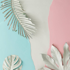 创作布局由白色绘的热带叶子和柔和的粉红色和蓝色纸背景