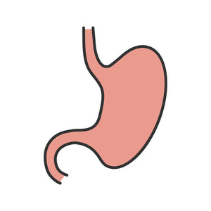 胃颜色图标。胃肠道。孤立向量插图