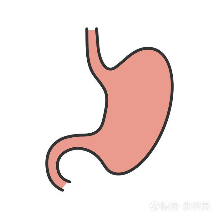 胃肠道.孤立向量插图