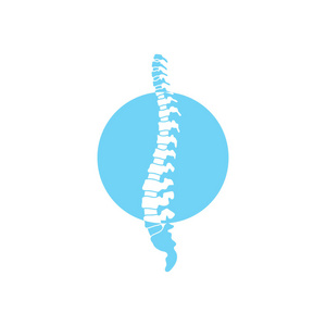 矢量人体脊柱插图照片