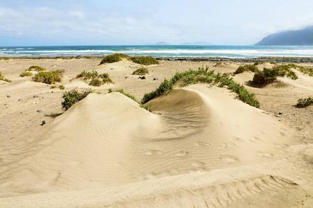 美丽的沙丘与绿色植被和大西洋的背景下, 兰萨罗特, 西班牙