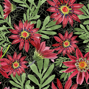 红杂色菊花。花卉植物花。无缝背景图案