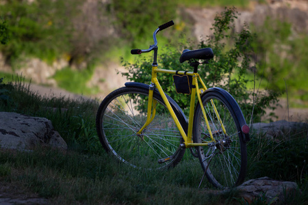 黄色自行车在自然