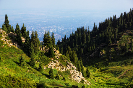 夏山