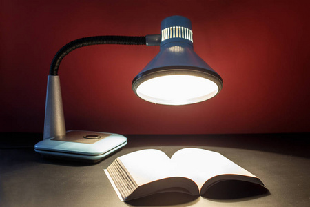 书桌上有一本公开的书, 里面有秘密知识和一盏电灯.
