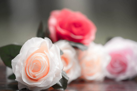 由布料制成的玫瑰, 美丽的花朵