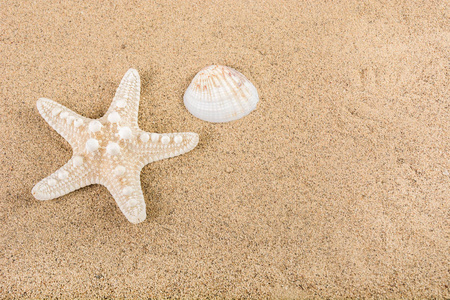 表顶鸟瞰航空图像标志的装饰暑期背景概念。海贝壳和海星在沙子上。文本和内容的可用空间。特写, 选择性聚焦
