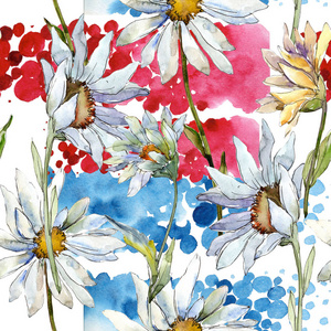 白菊花花。花卉植物花。无缝的背景图案。织物墙纸打印纹理。背景质地包装图案框架或边框的水彩画野花