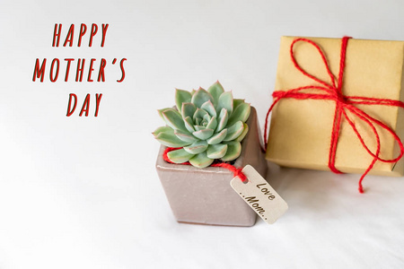 母亲节快乐的概念。礼品盒和绿色仙人掌, 纸标签与爱妈妈文本