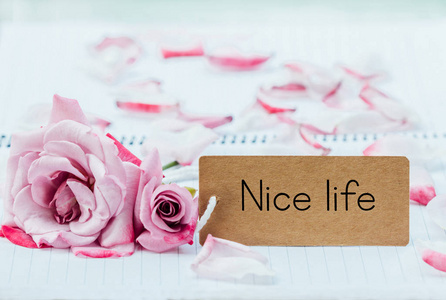 写卡片在笔记本上写上玫瑰卡片上的美好生活照片