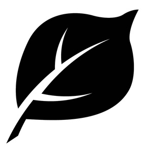 叶与一主脉和许多小网状静脉展示桑叶卡通桌上的海盗桑果矢量插图超级