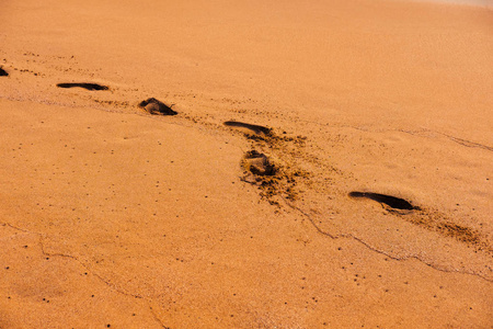 在潮湿的金色沙滩上留下足迹痕迹, 日落时间照片