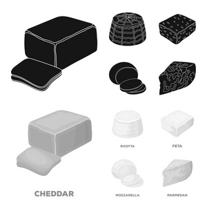芝士, 芝士, 切达干酪, 清乳。不同类型的奶酪集合图标在黑色, 单色风格矢量符号股票插画网站