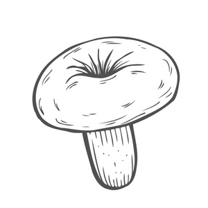 Mashroom 素描卡通矢量插画手绘插图