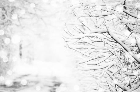 雪冻结的冬季道路。雪中的轮胎痕迹。森林后雨夹雪。单色冬季森林景观。乡村公路冬季驾车