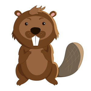 海狸平可爱的卡通海狸在平面风格白色背景照片