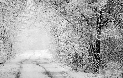 雪冻结的冬季道路。雪中的轮胎痕迹。森林后雨夹雪。单色冬季森林景观。乡村公路上的冬季驾驶。文本的空位置