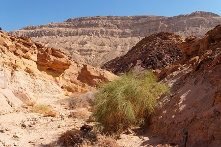 景区沙漠峡谷