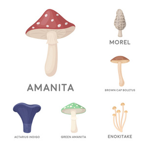 有毒和可食用的蘑菇卡通图标集合中的设计。不同类型的蘑菇矢量符号库存 web 插图