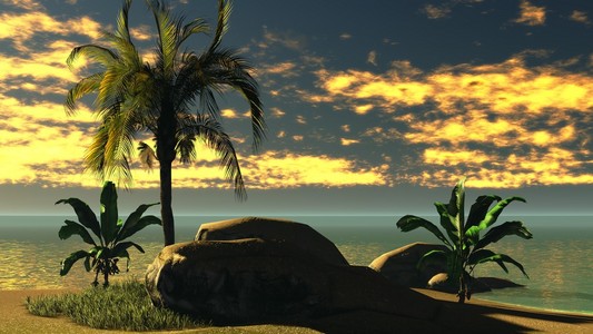 在热带天堂夏威夷日落