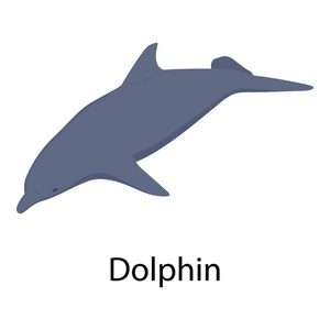 海豚图标, 等距样式
