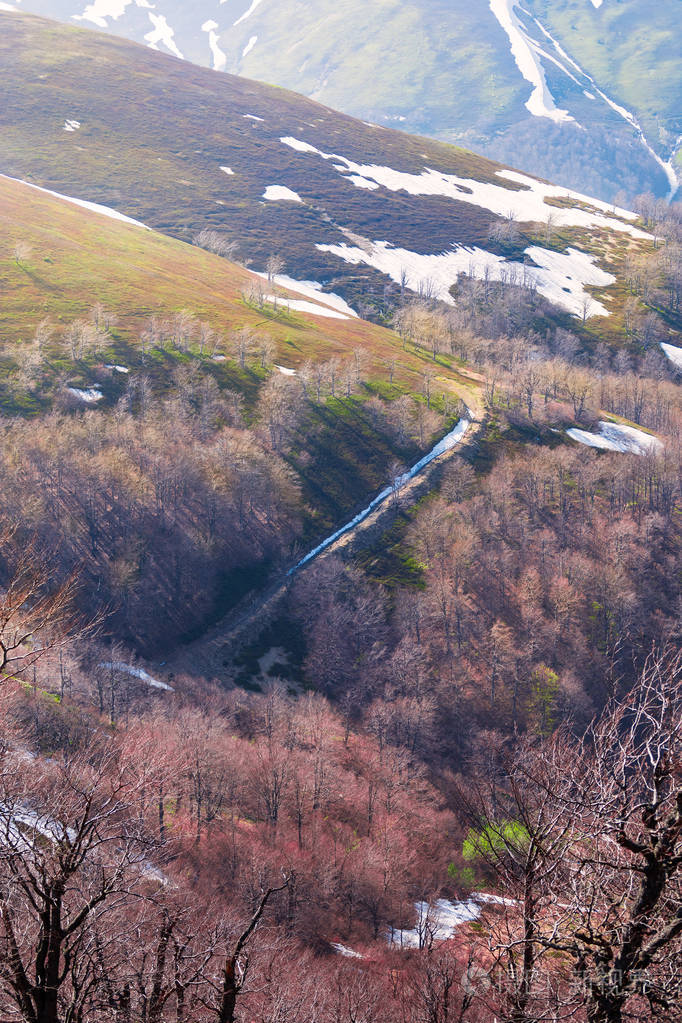 春山绿草山水