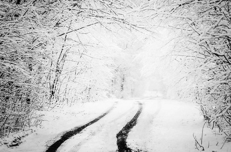 雪冻结的冬季道路。雪中的轮胎痕迹。森林后雨夹雪。单色冬季森林景观