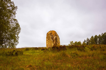 大直立的石头在史前公墓从青铜时代, Vatteryd 严重领域, Hassleholm, 瑞典, 2018年5月11日