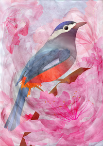 粉色的花和鸟水彩插画